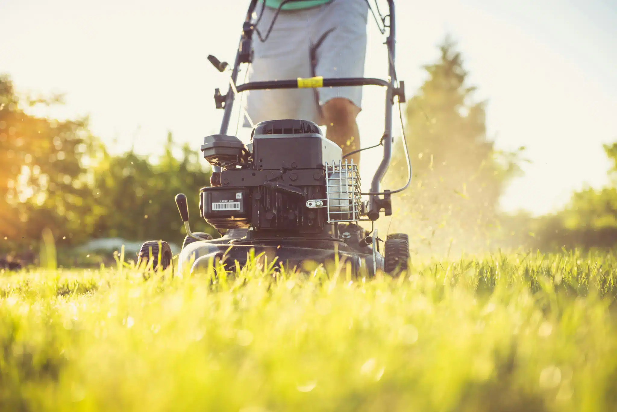 What Is Organic Lawn Care & Why It's Better for Nampa Lawns