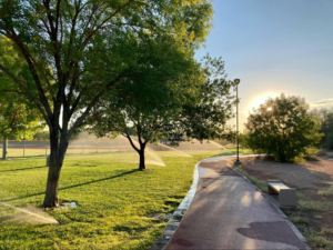 Signs Your Sprinkler System Needs Repair