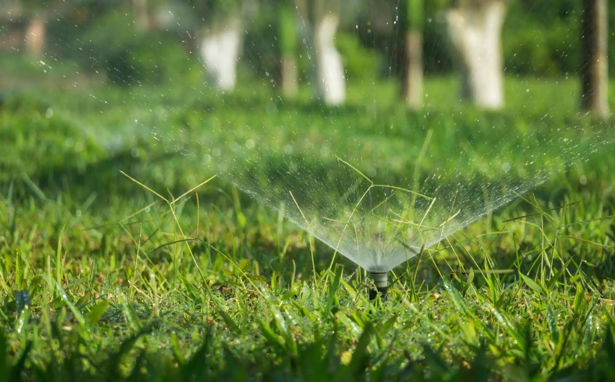 When to Schedule a Sprinkler Blowout in Idaho