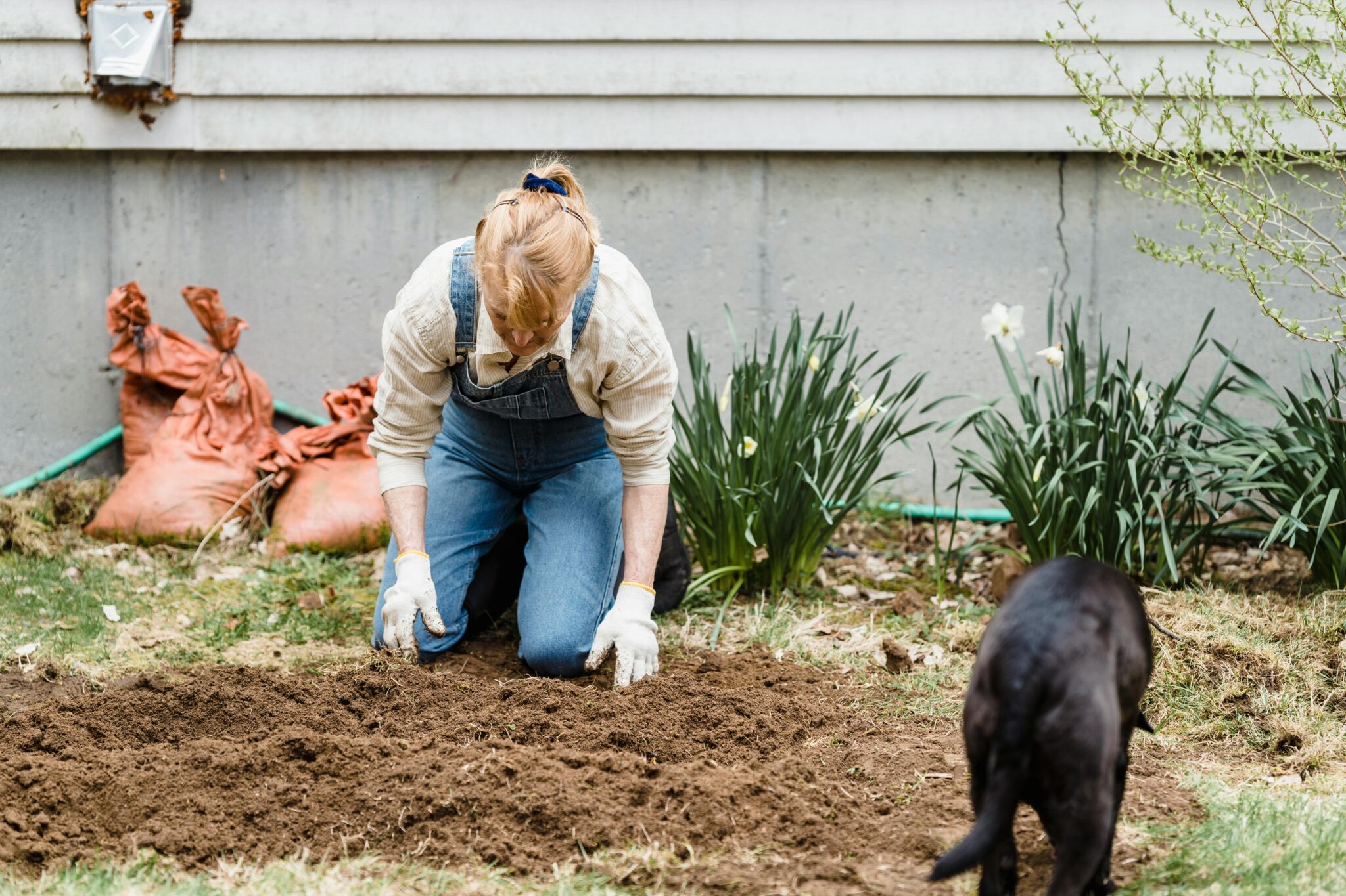 Common Lawn Problems in Treasure Valley (Causes & Fixes)