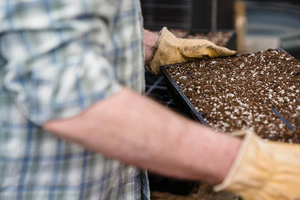 Best Time to Aerate and Overseed Your Idaho Lawn