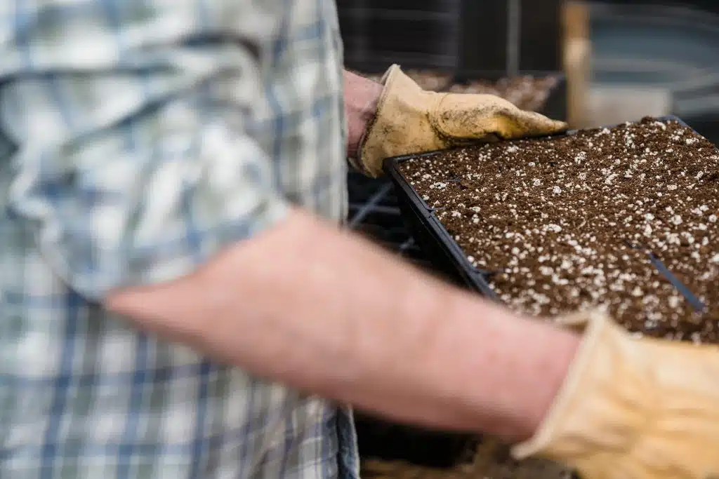 Best Time to Aerate and Overseed Your Idaho Lawn