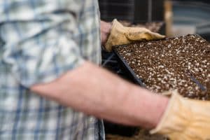 Best Time to Aerate and Overseed Your Idaho Lawn
