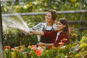 Organic Fertilizer for Lawns: What Works and Why in Idaho Soil