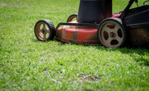5 Questions Every Nampa Homeowner Should Ask Before Hiring a Lawn Company
