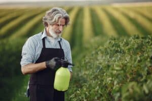 When to Spray Your Idaho Fruit Trees So Pests Never Get the Jump on You