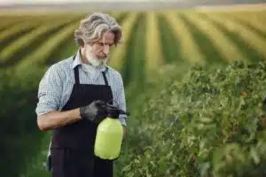 When to Spray Your Idaho Fruit Trees So Pests Never Get the Jump on You