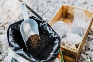 When to Fertilize Lawn in Idaho