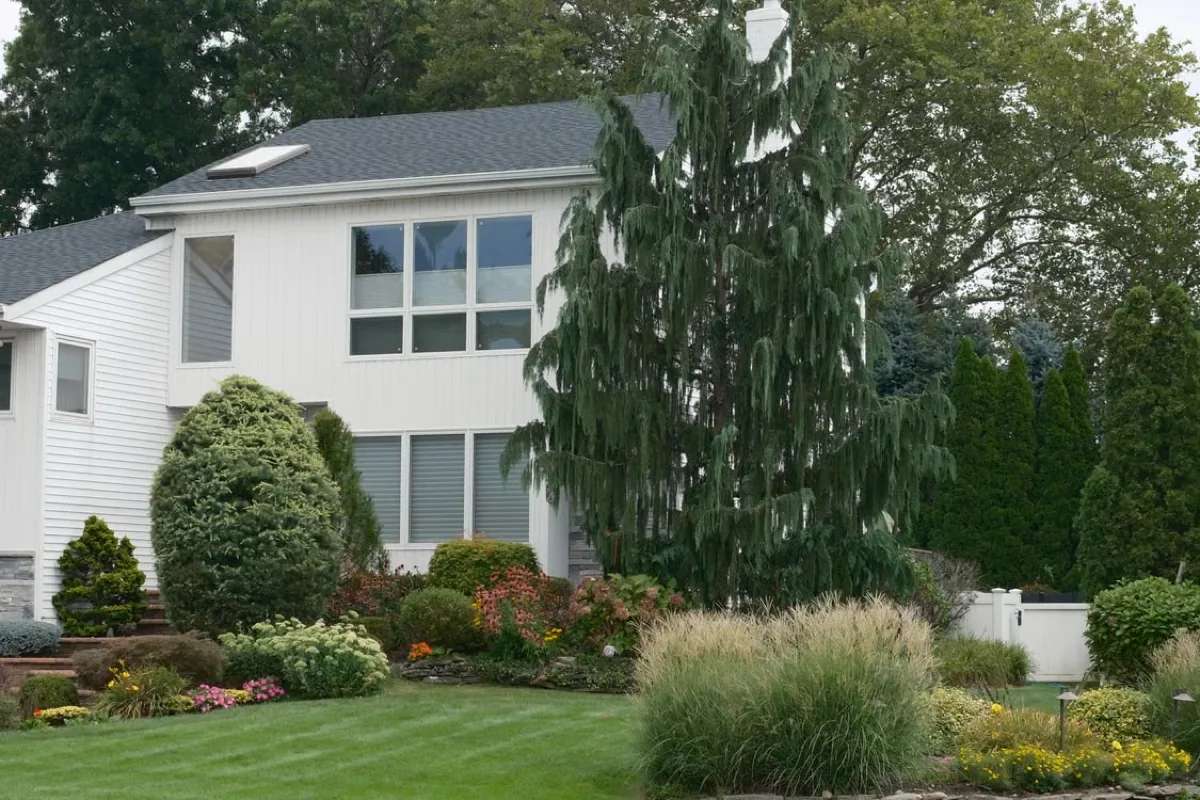 Modern suburban home with lush landscaping.