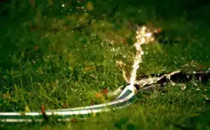 Close up photography of water bursting out of hose.