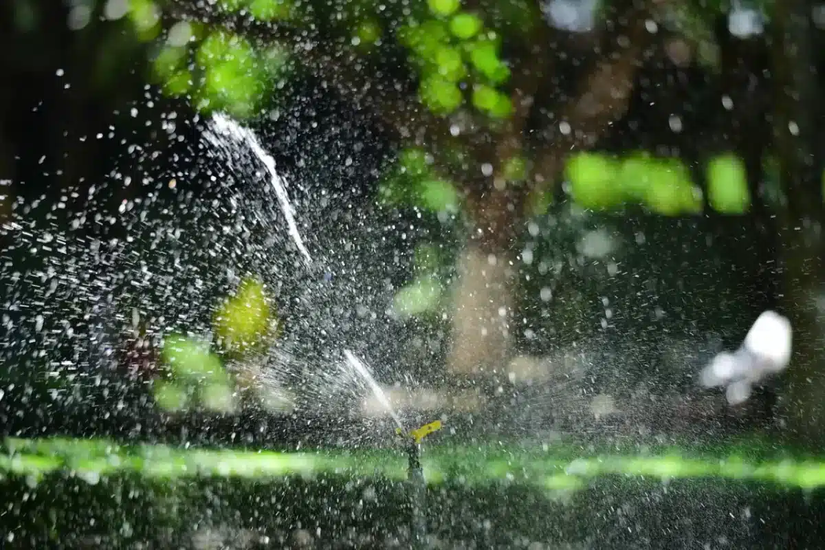 Water sprinkler watering lush green lawn.